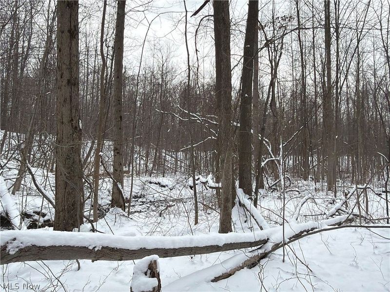 Munson Hill Road, Ashtabula, OH 44004 Photo 29