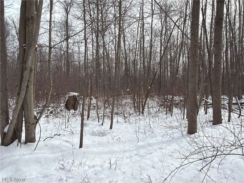 Munson Hill Road, Ashtabula, OH 44004 Photo 3