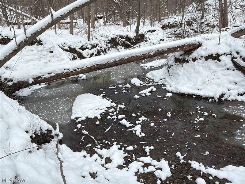 Munson Hill Road, Ashtabula, OH 44004 Photo 30