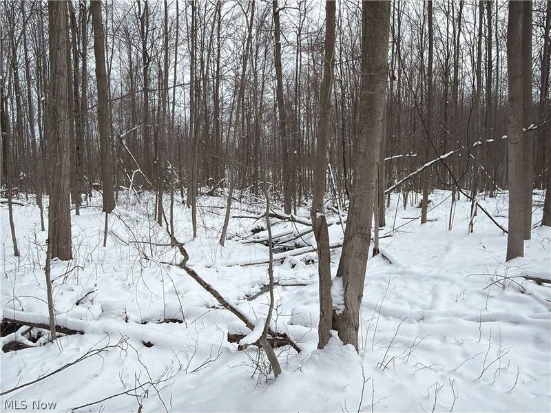 Munson Hill Road, Ashtabula, OH 44004 Photo 31