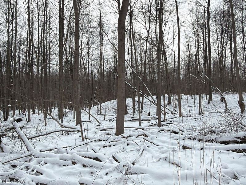 Munson Hill Road, Ashtabula, OH 44004 Photo 32