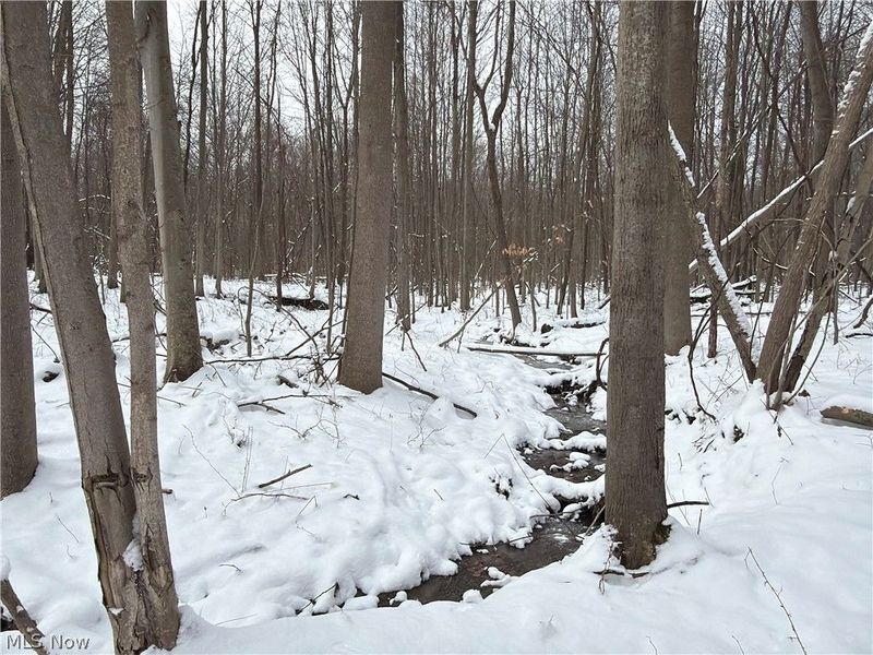 Munson Hill Road, Ashtabula, OH 44004 Photo 33