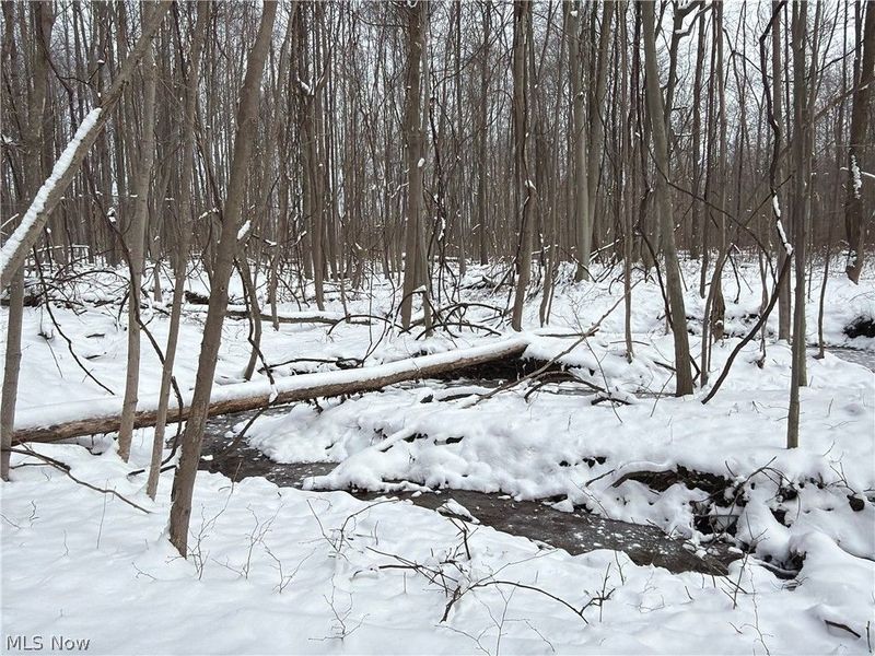 Munson Hill Road, Ashtabula, OH 44004 Photo 34