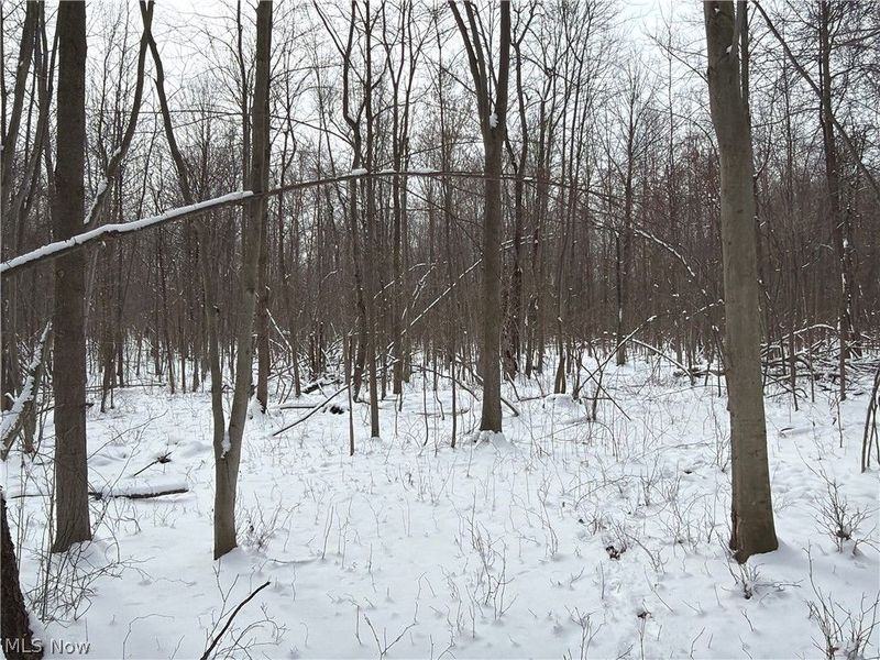 Munson Hill Road, Ashtabula, OH 44004 Photo 35