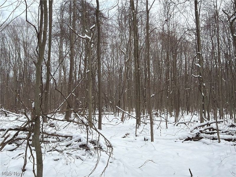 Munson Hill Road, Ashtabula, OH 44004 Photo 36