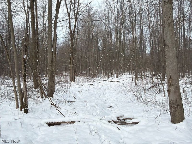 Munson Hill Road, Ashtabula, OH 44004 Photo 37