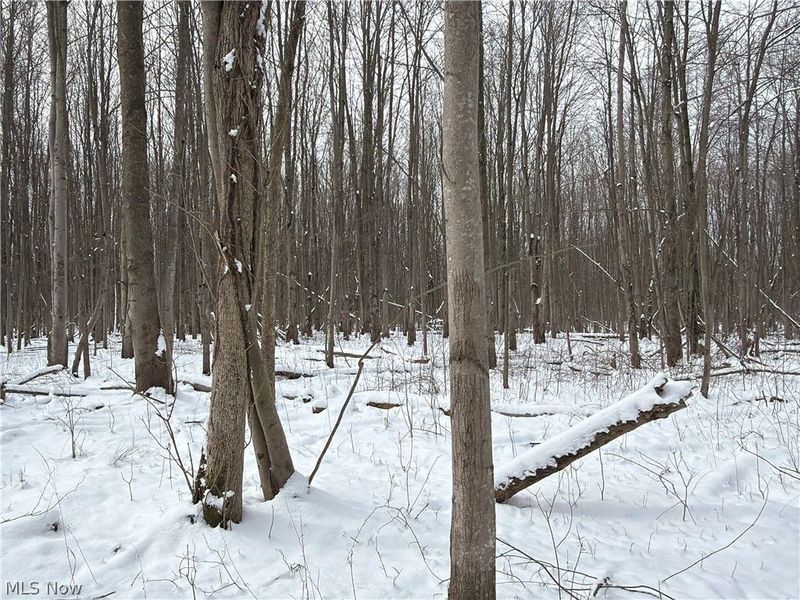 Munson Hill Road, Ashtabula, OH 44004 Photo 38