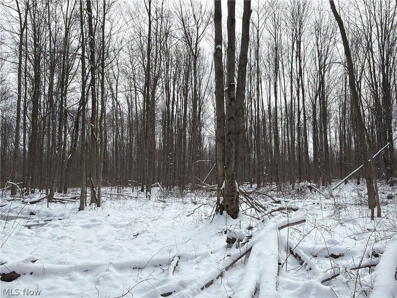 Munson Hill Road, Ashtabula, OH 44004 Photo 39