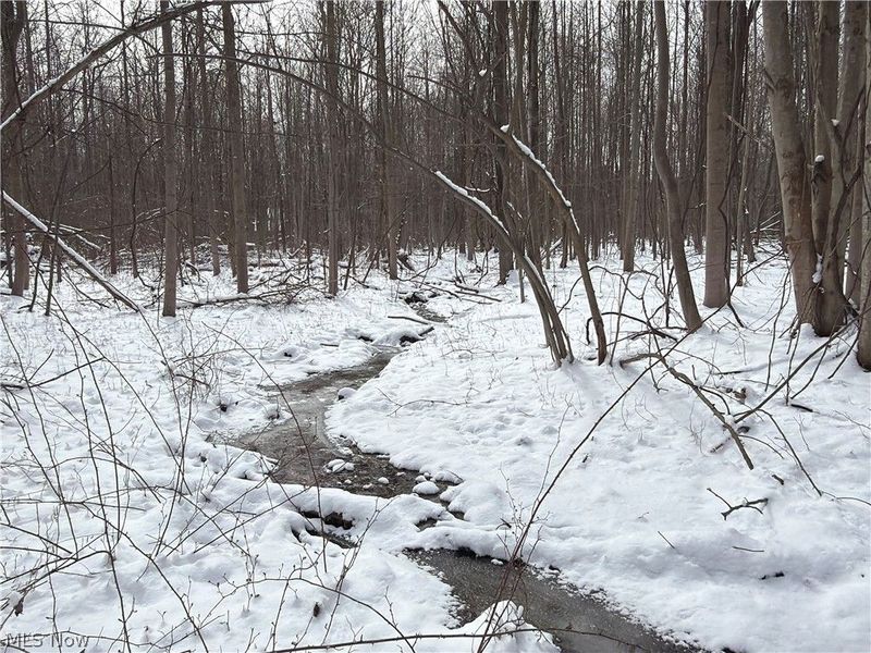 Munson Hill Road, Ashtabula, OH 44004 Photo 4