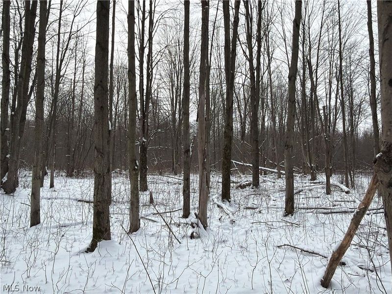 Munson Hill Road, Ashtabula, OH 44004 Photo 40