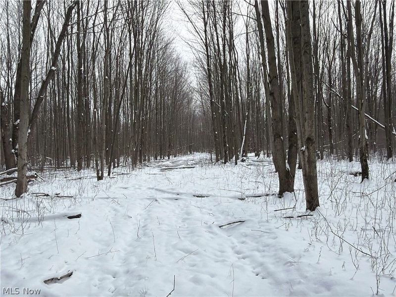 Munson Hill Road, Ashtabula, OH 44004 Photo 41