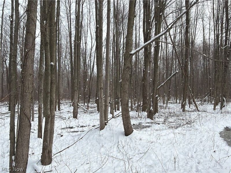 Munson Hill Road, Ashtabula, OH 44004 Photo 43