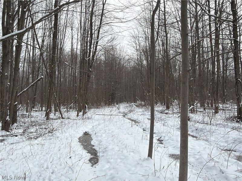 Munson Hill Road, Ashtabula, OH 44004 Photo 44