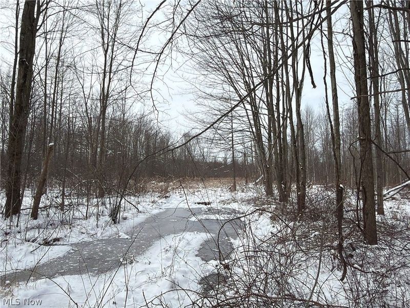 Munson Hill Road, Ashtabula, OH 44004 Photo 45