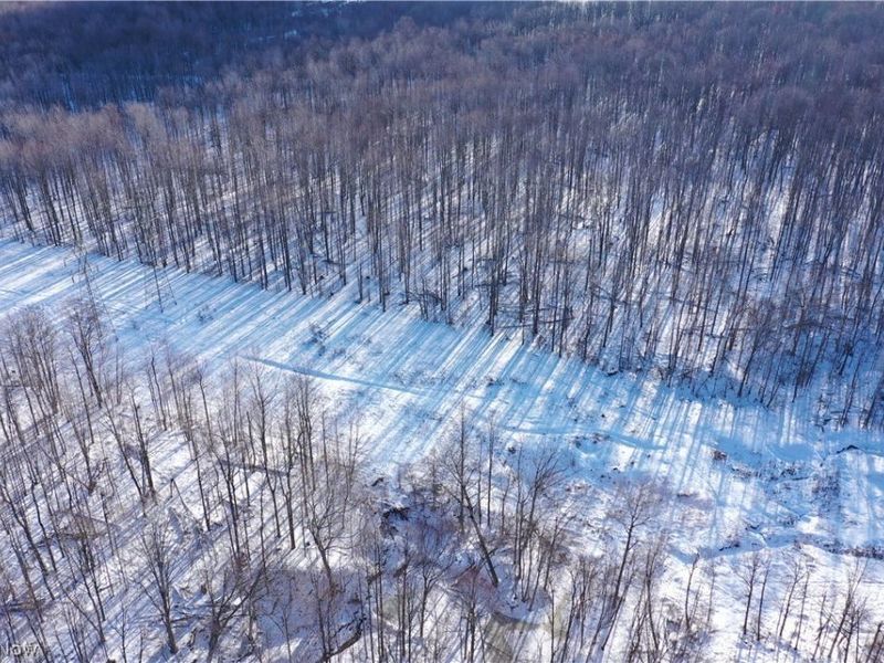 Munson Hill Road, Ashtabula, OH 44004 Photo 46