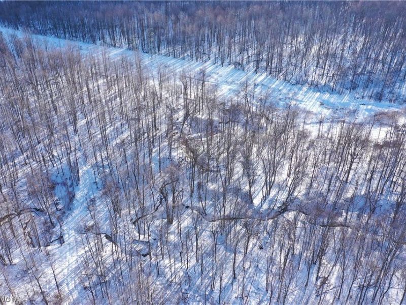 Munson Hill Road, Ashtabula, OH 44004 Photo 47