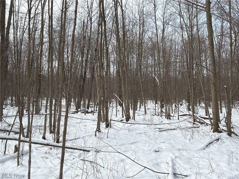 Munson Hill Road, Ashtabula, OH 44004 Photo 5