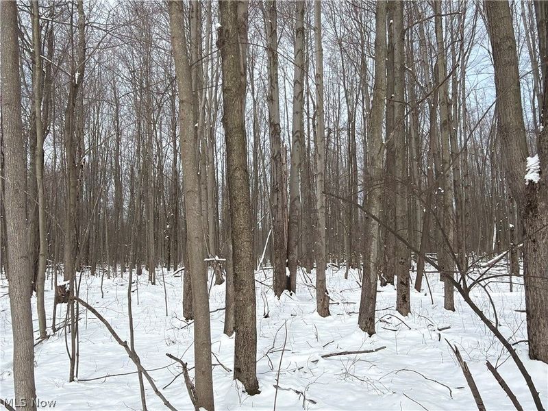 Munson Hill Road, Ashtabula, OH 44004 Photo 6