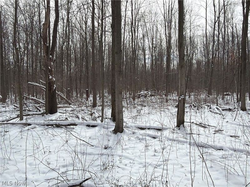 Munson Hill Road, Ashtabula, OH 44004 Photo 7