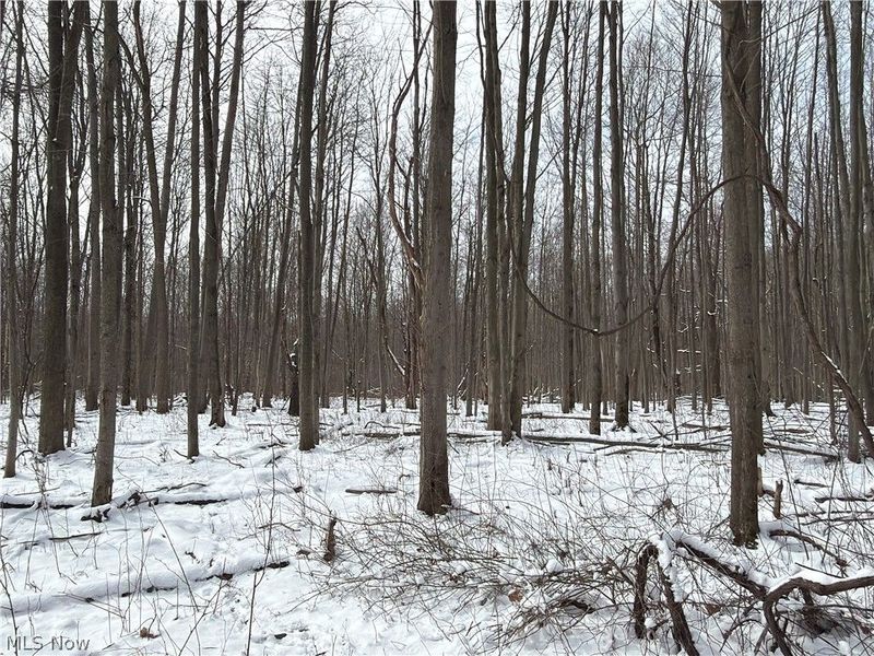 Munson Hill Road, Ashtabula, OH 44004 Photo 8