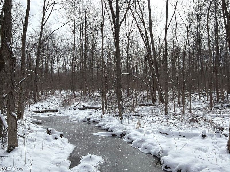 Munson Hill Road, Ashtabula, OH 44004 Photo 9