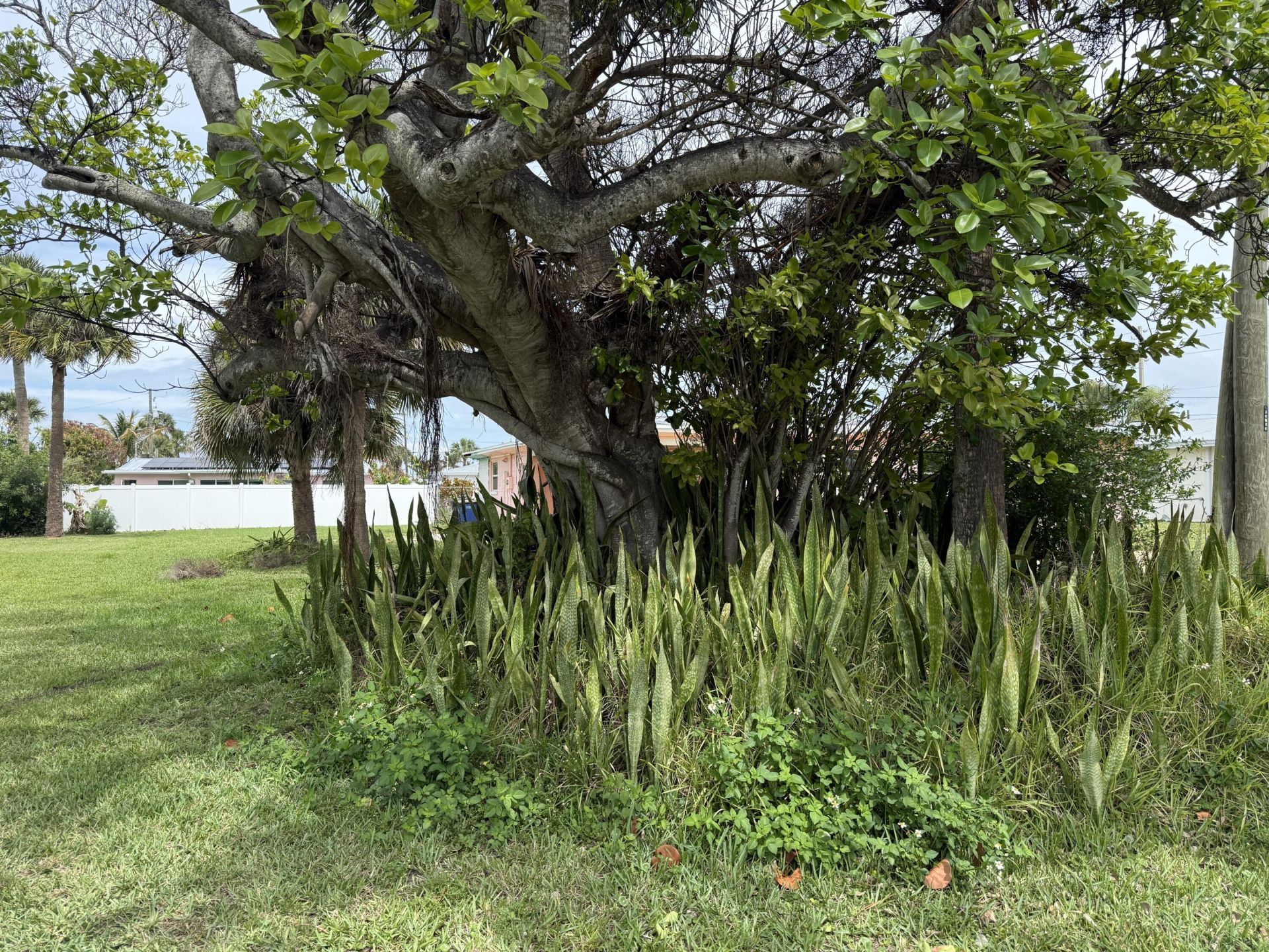 00 Coral Circle, Hutchinson Island, FL 34949 Photo