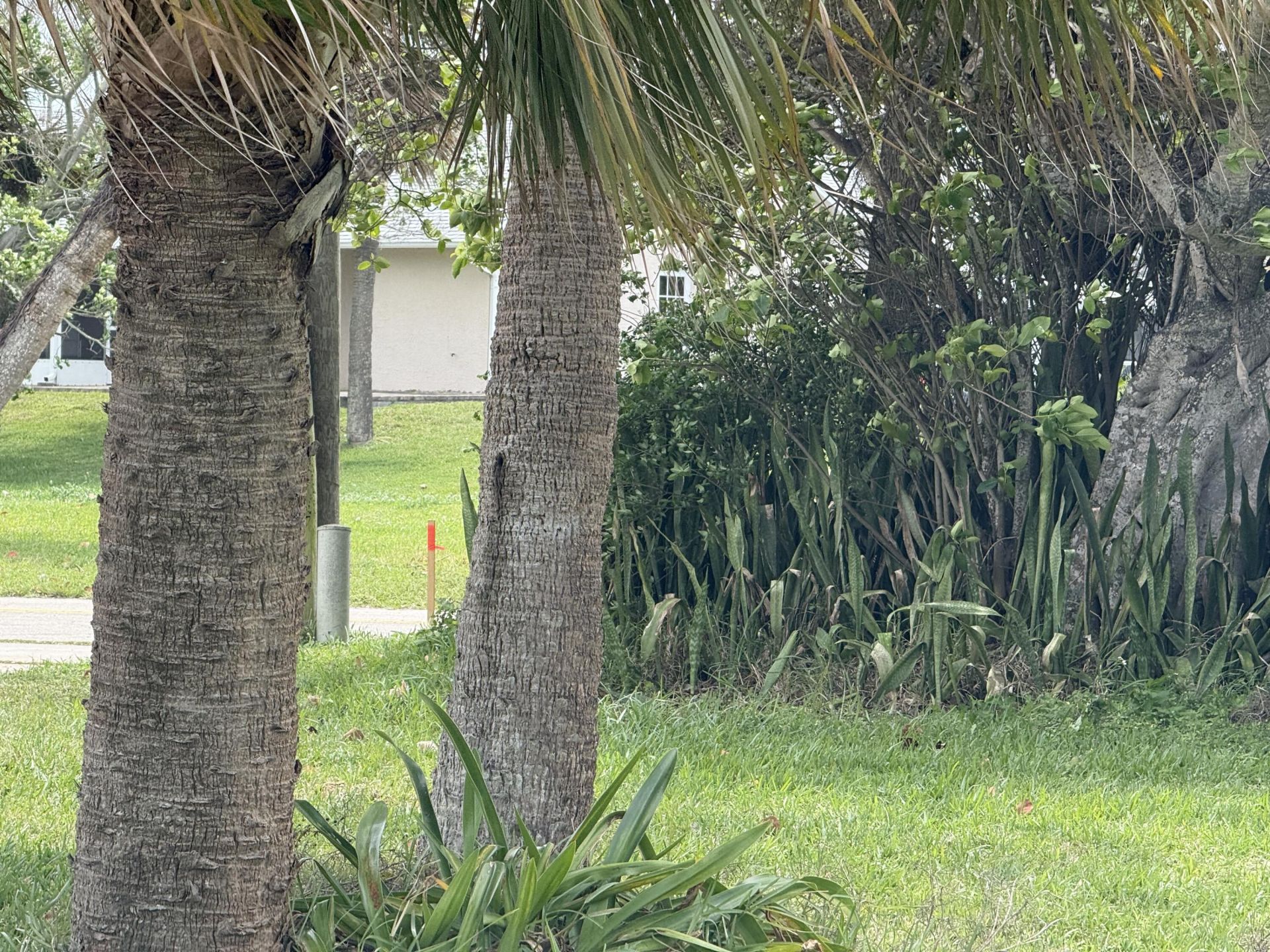 00 Coral Circle, Hutchinson Island, FL 34949 Photo
