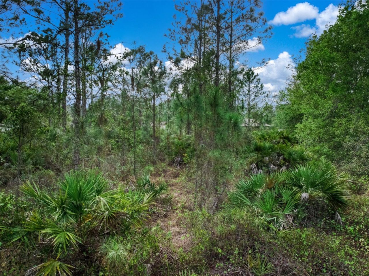 4814 Lakewood Road , Sebring, FL 33875 Photo