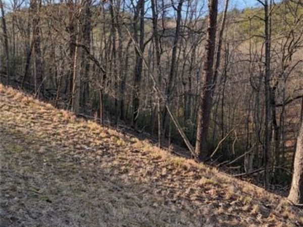 282 Chickasaw Drive , Waleska, GA 30183