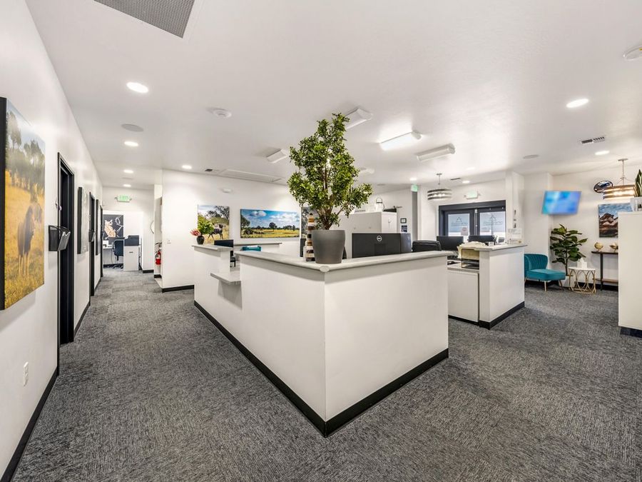 Property Image 31