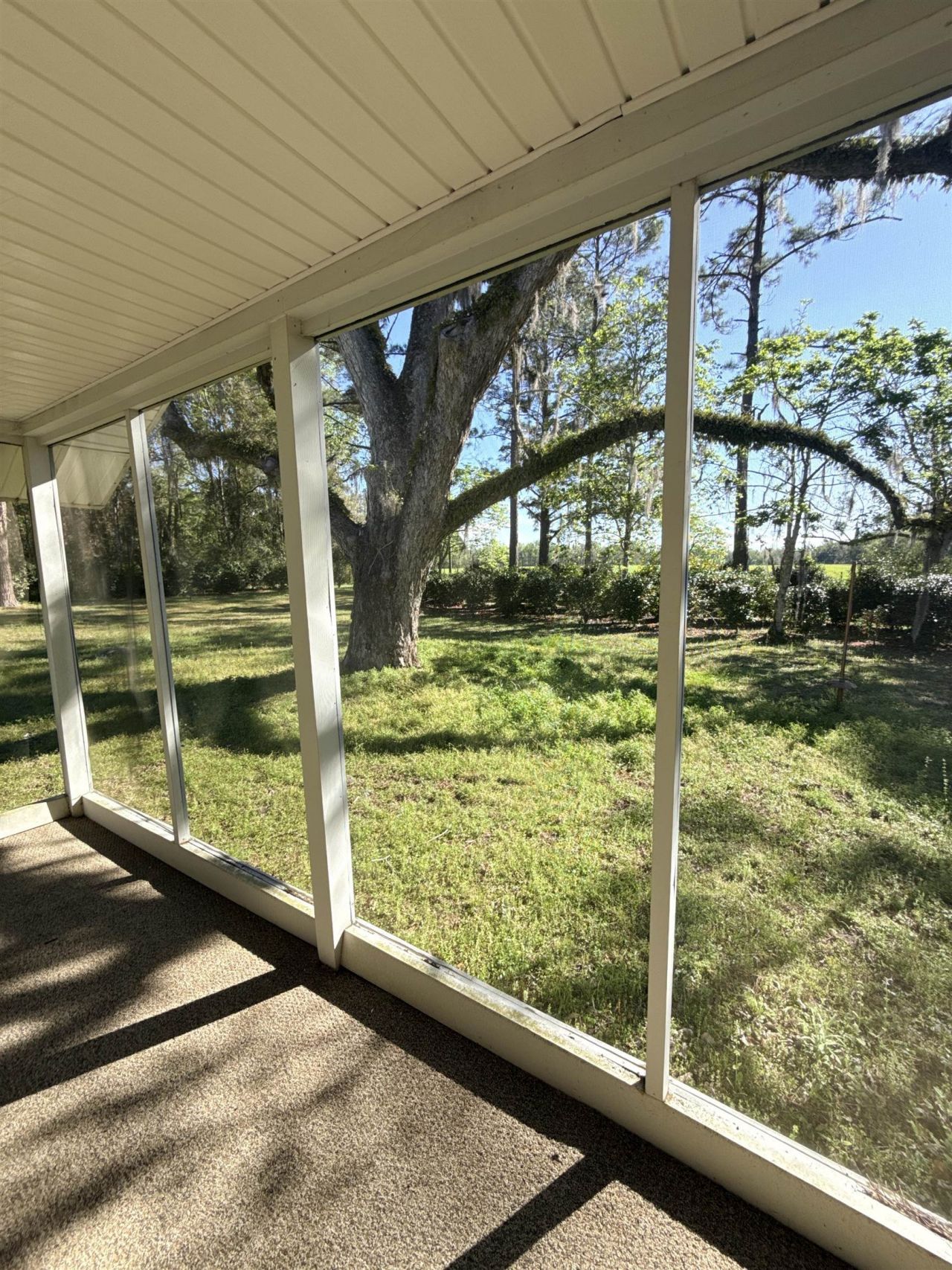 167 Phelps Road , Lamont, FL 32336 Photo