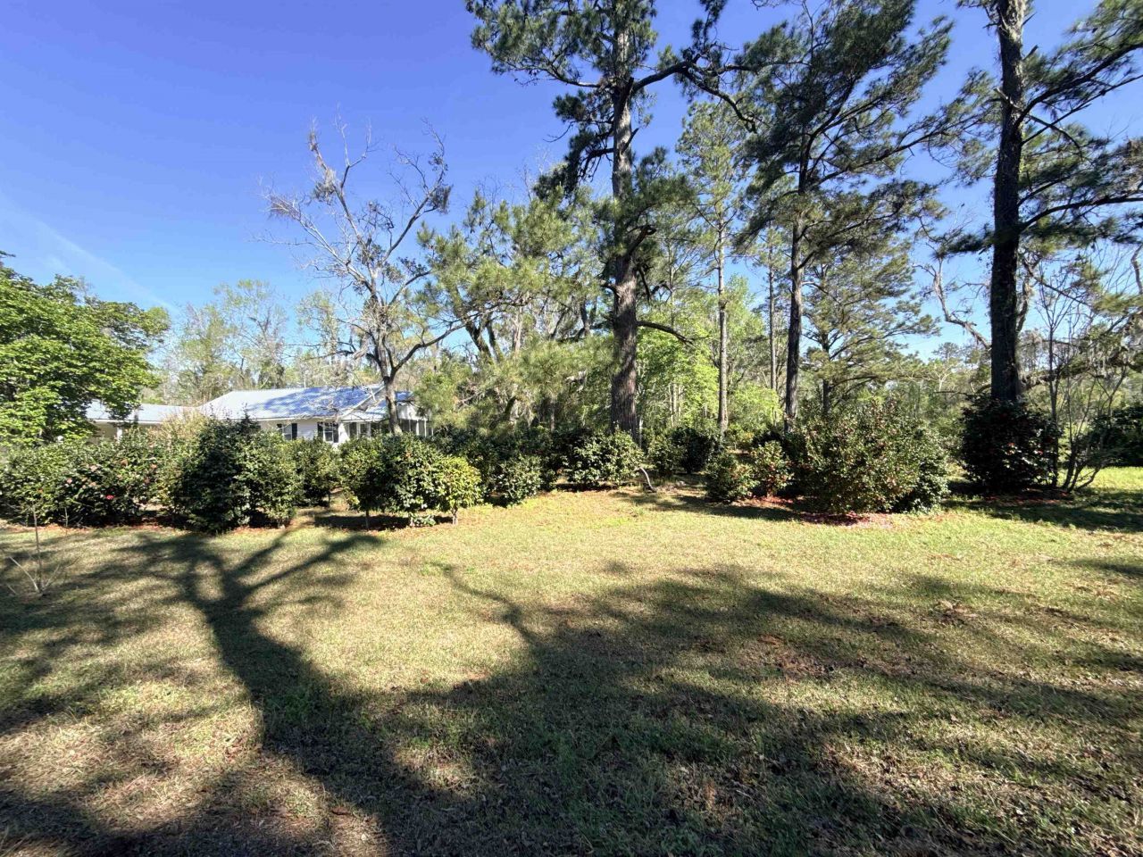 167 Phelps Road , Lamont, FL 32336 Photo