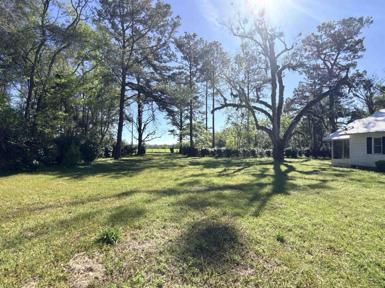 167 Phelps Road , Lamont, FL 32336 Photo