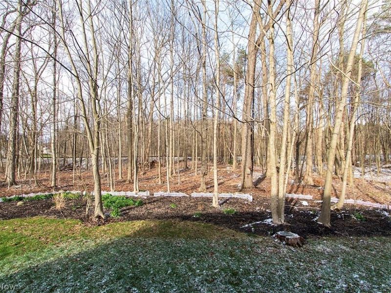 3655 Turnberry Drive, Medina, OH 44256 Photo 37