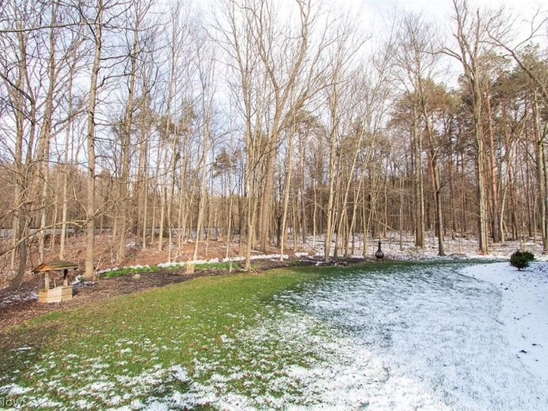 3655 Turnberry Drive, Medina, OH 44256 Photo 38