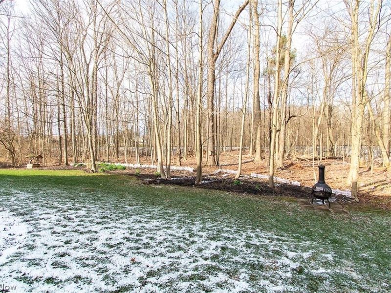 3655 Turnberry Drive, Medina, OH 44256 Photo 39