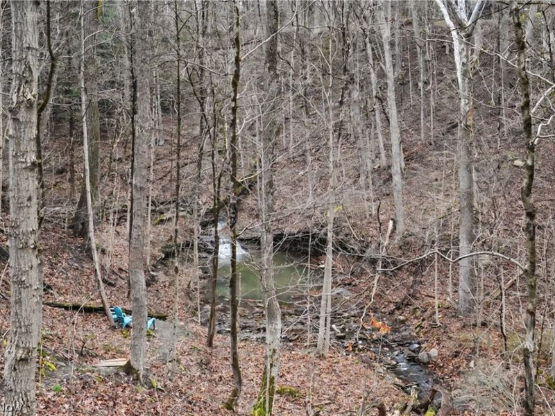 6196 Riverview Road, Peninsula, OH 44264 Photo 2