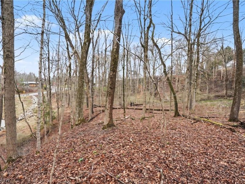 6196 Riverview Road, Peninsula, OH 44264 Photo 5