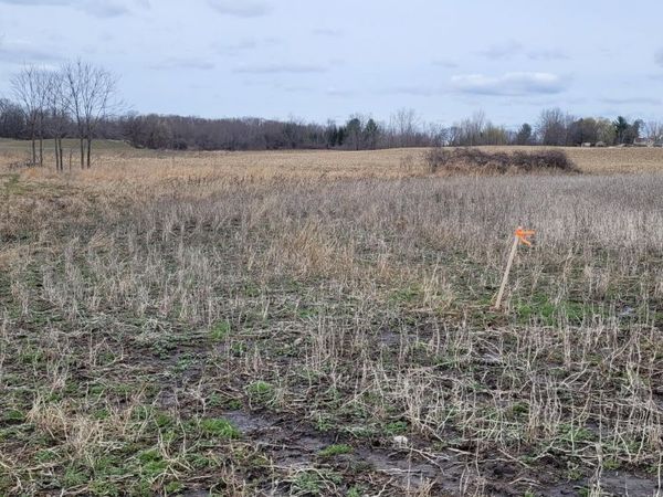 V/L Tasker Road, Lake Odessa, MI 48849