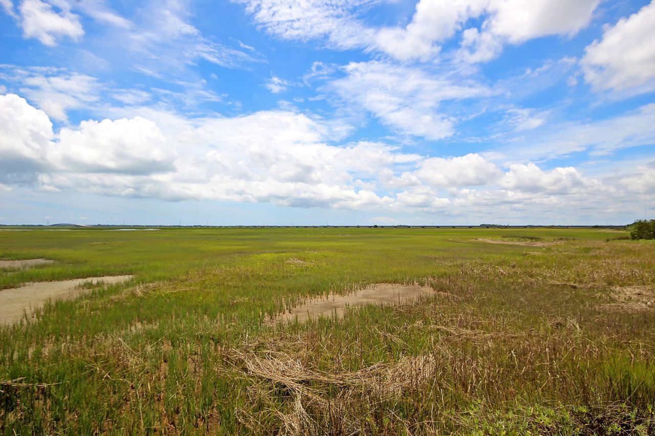 1618 Fort Palmetto Circle Photo 66