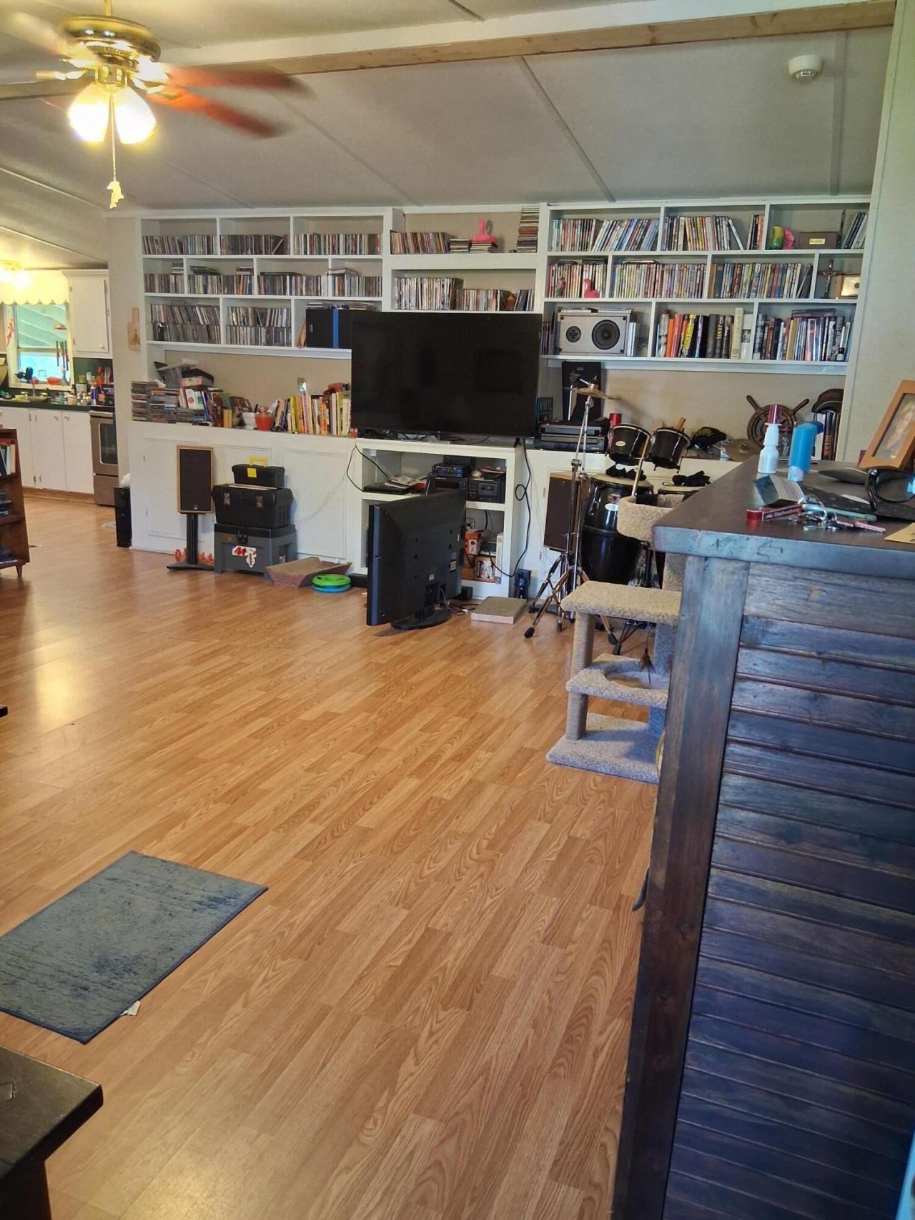 223 Armstrong Drive Photo 4