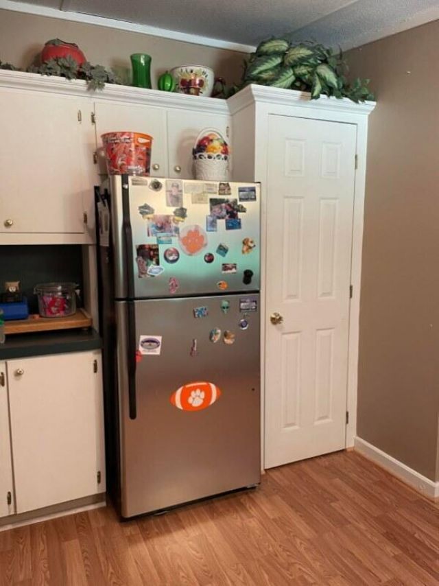 223 Armstrong Drive Photo 5