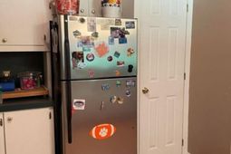 223 Armstrong Drive photo 4