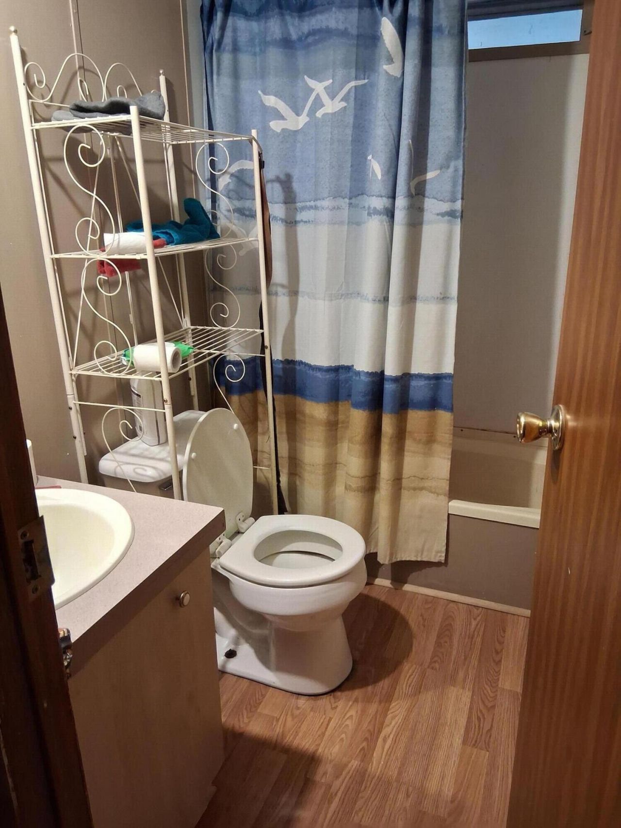 223 Armstrong Drive Photo 8