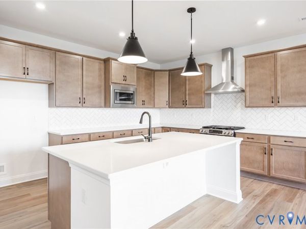 18732 Palisades Cove Trail , Moseley, VA 23120