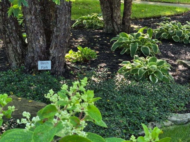 1330 Bayboro Drive , New Albany, OH 43054 Photo 50