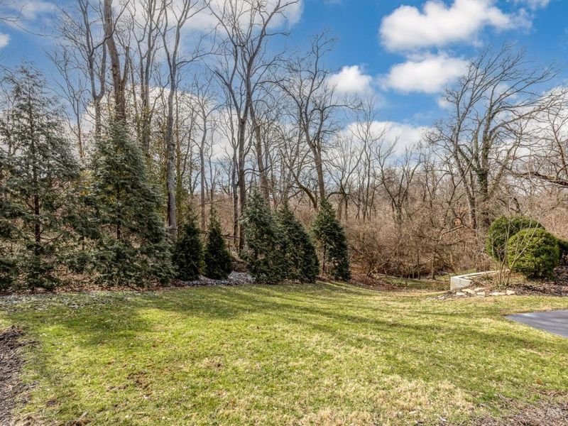 3561 Bayard Drive, Cincinnati, OH 45208 Photo 49