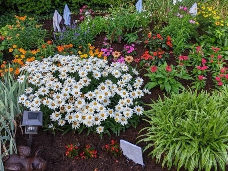 3561 Bayard Drive, Cincinnati, OH 45208 Photo 51