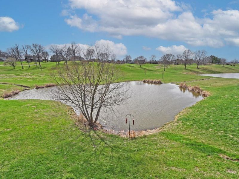 2735 Buckridge Drive, Cincinnati, OH 45233 Photo 66