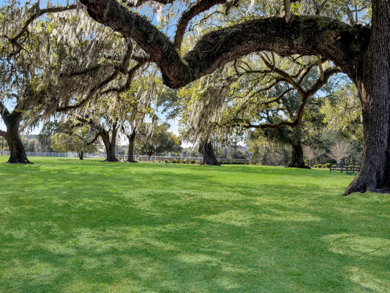 1013 Old Field Drive Photo 58